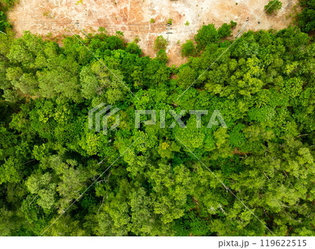 Aerial view Tropical Rainforest trees mountains,Top view green forest background Aerial view Tropical Rainforest trees mountains,Top view green forest background 119622515