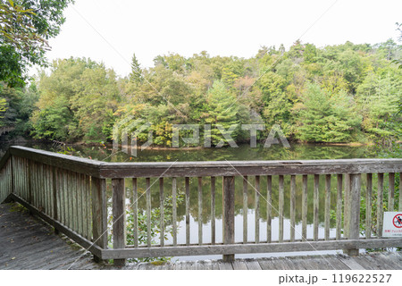 四季彩の森・トンデン池（矢田丘陵） 119622527