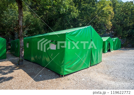 Green camping tents in a forested area Green camping tents in a forested area 119622772