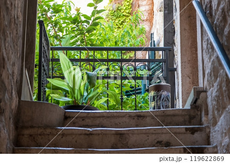 Stone staircase leading to a lush garden terrace 119622869