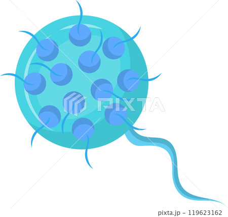 Chlamydia trachomatis bacteria showing elementary bodies, which are infectious, and reticulate bodies, which are the reproductive form of the bacteria, causing sexually transmitted infections 119623162
