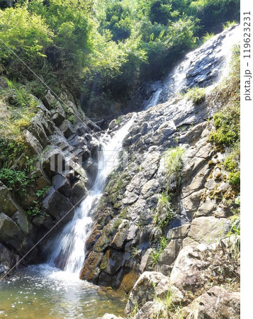 静岡県 修善寺 旭滝 8月 静岡県 修善寺 旭滝 8月 119623231