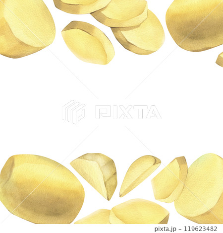 White potatoes, peeled, whole, half, cut into slices and sticks for French fries. Hand drawn watercolor illustration on the theme of cooking, food. Set of elements isolated from background 119623482