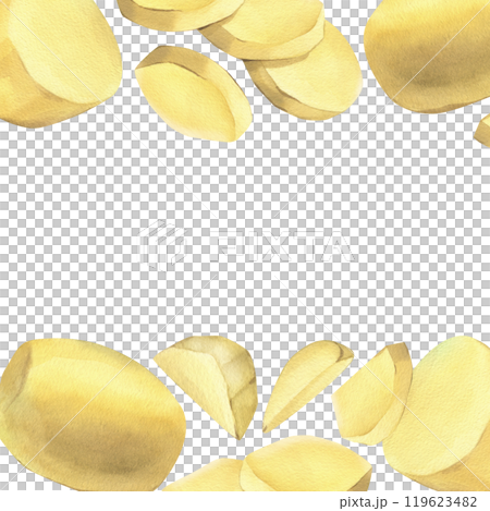 White potatoes, peeled, whole, half, cut into slices and sticks for French fries. Hand drawn watercolor illustration on the theme of cooking, food. Set of elements isolated from background 119623482