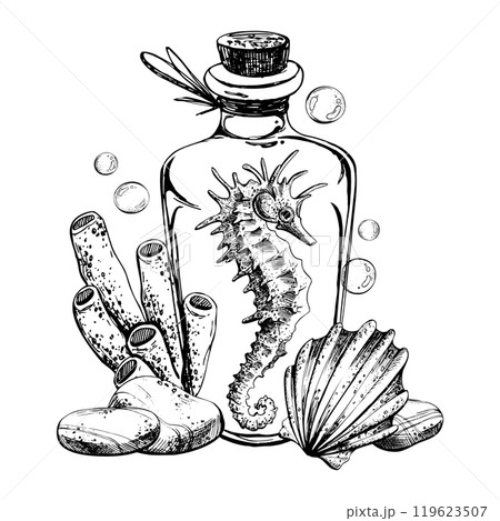 Seahorse, shell sponge inside glass bottle jar with cork sea pebbles and water bubbles. Hand drawn graphic illustration in black and white color line art. Sublimation arrangement on marine theme Seahorse, shell sponge inside glass bottle jar with cork sea pebbles and water bubbles. Hand drawn graphic illustration in black and white color line art. Sublimation arrangement on marine theme 119623507