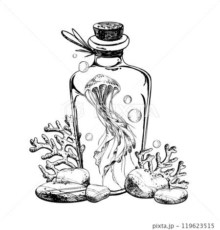 Sea jellyfish corals inside glass bottle jar with cork sea pebbles and water bubbles. Hand drawn graphic illustration in black and white color line art. Sublimation arrangement on marine theme 119623515