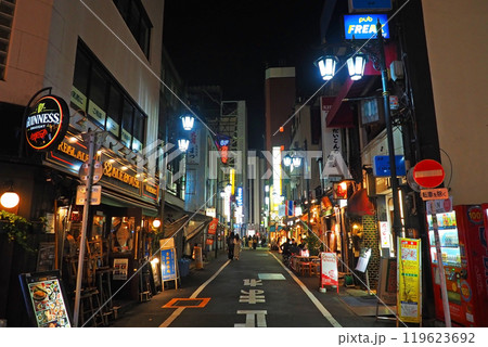 新宿三丁目の飲み屋街 新宿三丁目の飲み屋街 119623692
