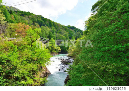 新緑の秋山郷(新潟県) 新緑の秋山郷(新潟県) 119623926