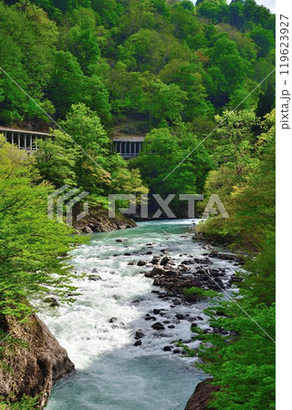 新緑の秋山郷(新潟県) 新緑の秋山郷(新潟県) 119623927