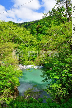 新緑の秋山郷(新潟県) 新緑の秋山郷(新潟県) 119623928
