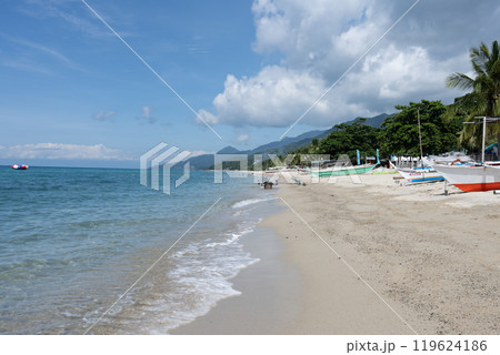 A tropical beach with palm trees, white sand, blue sky, and traditional fishing boats on the shore  119624186
