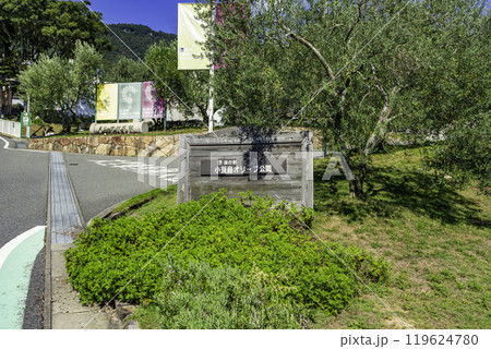 小豆島 道の駅 小豆島オリーブ公園 香川県小豆島町 小豆島 道の駅 小豆島オリーブ公園 香川県小豆島町 119624780