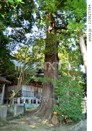 茨城県日立市十王町に鎮座する艫神社 119625394