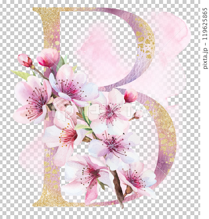Watercolor and golden letter B with pink cherry flowers and buds, wedding sakura isolated element Watercolor and golden letter B with pink cherry flowers and buds, wedding sakura isolated element 119625865