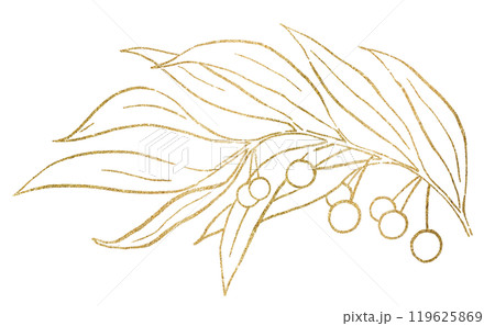 Christmas hand drawn leaves with berries silhouette, golden outlines. Holiday isolated Illustration 119625869