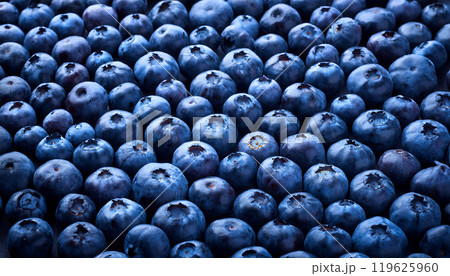 沢山のブルーベリー 沢山のブルーベリー 119625960