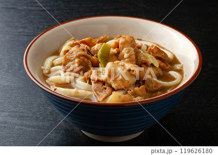 カレー肉うどん 119626180