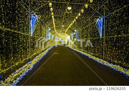 はままつフルーツパーク時之栖の輝くイルミネーション(静岡県) 119626205
