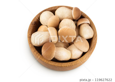 Fresh porcini cep mushroom in wooden bowl isolated on white background. Top view. Flat lay Fresh porcini cep mushroom in wooden bowl isolated on white background. Top view. Flat lay 119627622