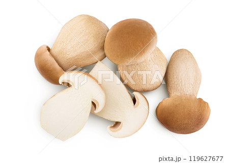 Fresh porcini cep mushroom isolated on white background. Top view. Flat lay. 119627677
