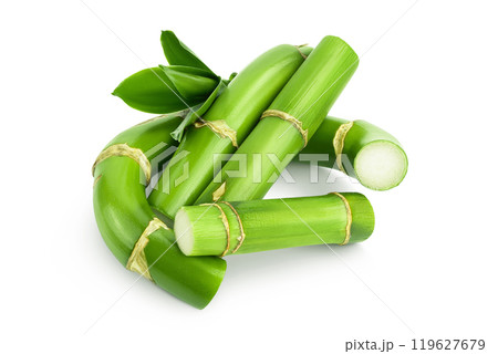 Green bamboo with leaves isolated on white background with full depth of field 119627679