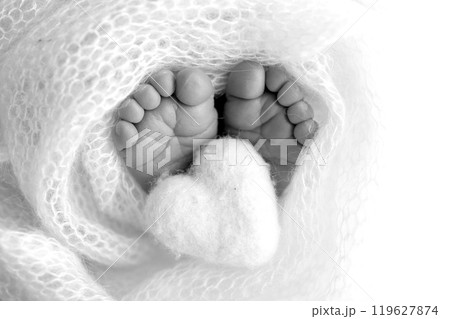 The tiny foot of a newborn baby. Soft feet of a new born in a wool blanket. Close up of toes, heels and feet of a newborn. Knitted heart in the legs of a baby Studio macro photography. Black and white The tiny foot of a newborn baby. Soft feet of a new born in a wool blanket. Close up of toes, heels and feet of a newborn. Knitted heart in the legs of a baby Studio macro photography. Black and white 119627874