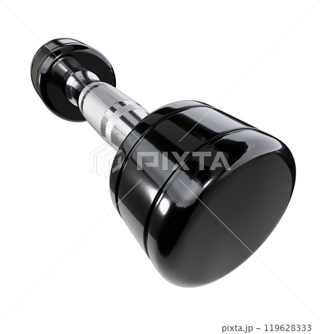 Blank Round Dumbbell, chrome weightlifting gym equipment wide angle view 119628333