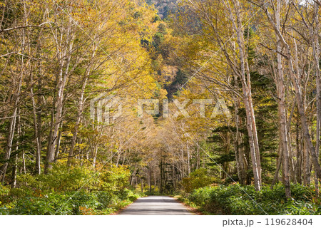 安房峠・秋の絶景(国道158号 旧道) 安房峠・秋の絶景(国道158号 旧道) 119628404