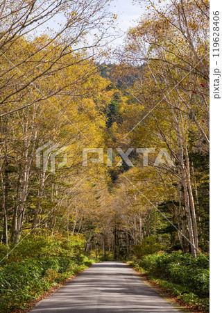 安房峠・秋の絶景（国道158号 旧道） 119628406