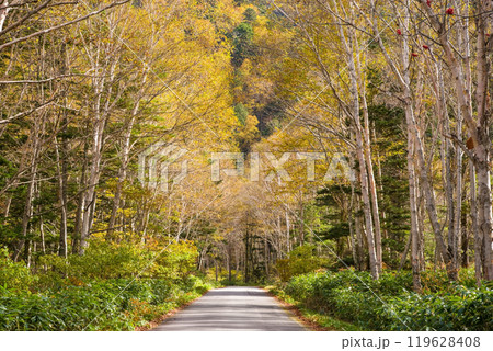 安房峠・秋の絶景（国道158号 旧道） 119628408