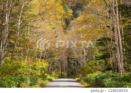 安房峠・秋の絶景(国道158号 旧道) 安房峠・秋の絶景(国道158号 旧道) 119628410