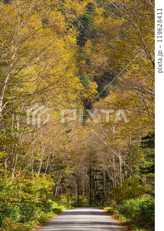 安房峠・秋の絶景（国道158号 旧道） 119628411