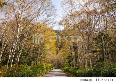 安房峠・秋の絶景(国道158号 旧道) 安房峠・秋の絶景(国道158号 旧道) 119628414