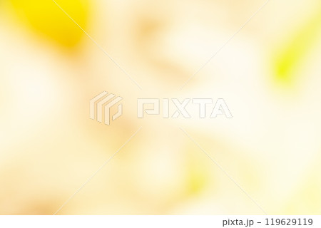 イエロー系お花畑のイメージ　(写真素材) 119629119