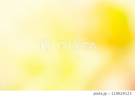 イエロー系お花畑のイメージ　(写真素材) 119629123