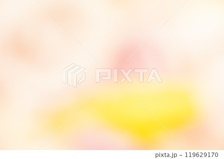 イエロー系お花畑のイメージ (写真素材) イエロー系お花畑のイメージ (写真素材) 119629170