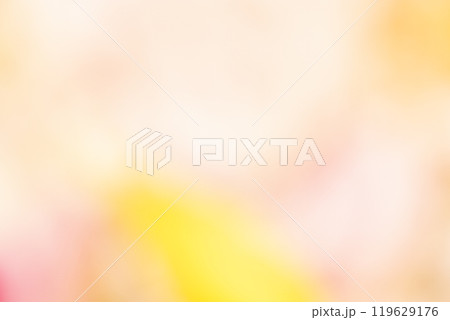 イエロー系お花畑のイメージ　(写真素材) 119629176