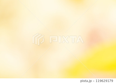 イエロー系お花畑のイメージ (写真素材) イエロー系お花畑のイメージ (写真素材) 119629179