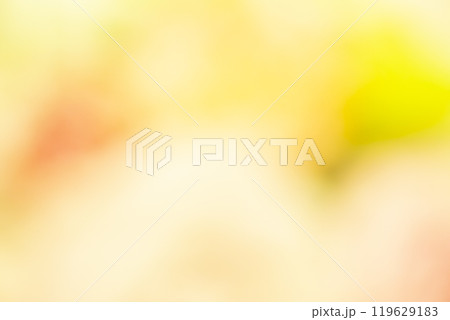 イエロー系お花畑のイメージ (写真素材) イエロー系お花畑のイメージ (写真素材) 119629183
