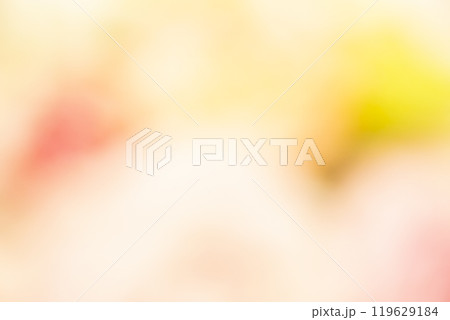 イエロー系お花畑のイメージ　(写真素材) 119629184