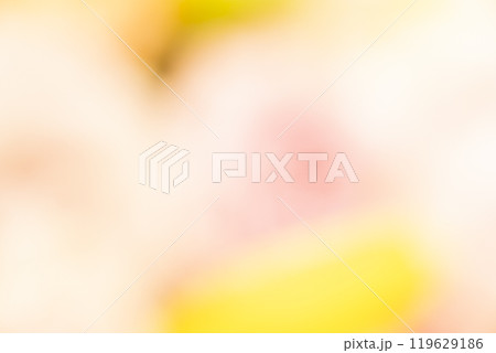 イエロー系お花畑のイメージ (写真素材) イエロー系お花畑のイメージ (写真素材) 119629186