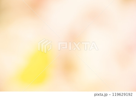 イエロー系お花畑のイメージ　(写真素材) 119629192