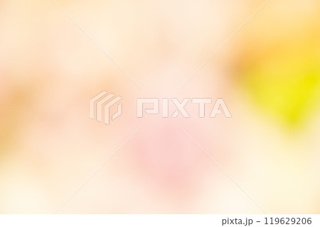 イエロー系お花畑のイメージ (写真素材) イエロー系お花畑のイメージ (写真素材) 119629206