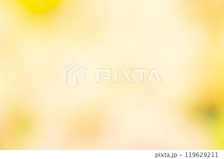 イエロー系お花畑のイメージ (写真素材) イエロー系お花畑のイメージ (写真素材) 119629211