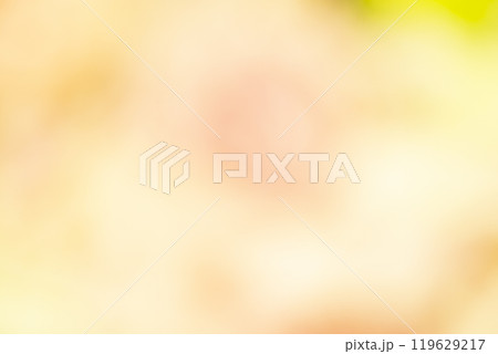 イエロー系お花畑のイメージ　(写真素材) 119629217