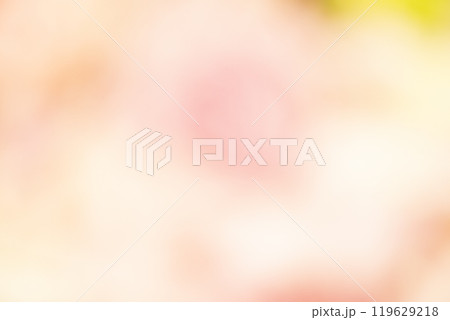 イエロー系お花畑のイメージ　(写真素材) 119629218