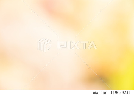 イエロー系お花畑のイメージ (写真素材) イエロー系お花畑のイメージ (写真素材) 119629231