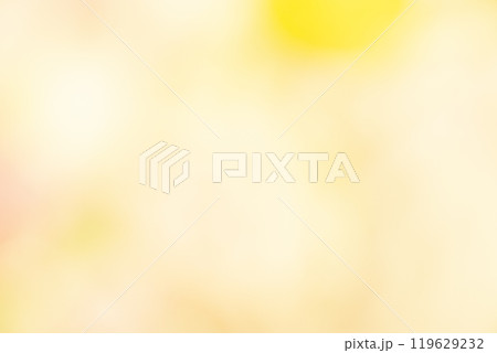 イエロー系お花畑のイメージ (写真素材) イエロー系お花畑のイメージ (写真素材) 119629232