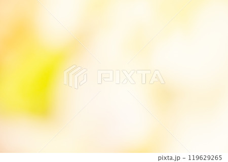 イエロー系お花畑のイメージ (写真素材) イエロー系お花畑のイメージ (写真素材) 119629265