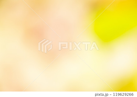 イエロー系お花畑のイメージ　(写真素材) 119629266